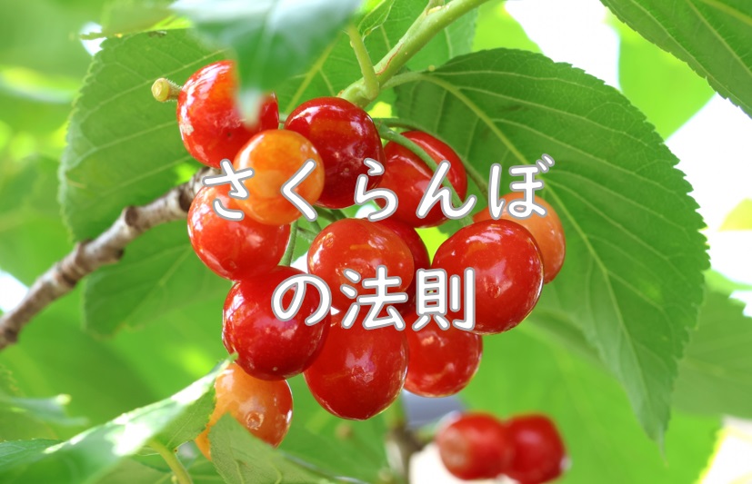 さくらんぼ法則.jpg (121 KB)