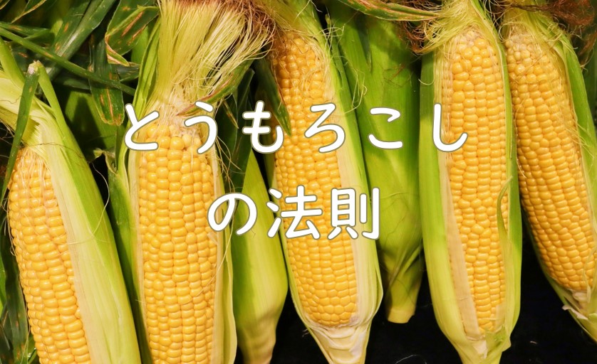 とうもろこしの法則し.jpg (140 KB)