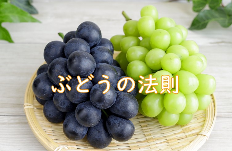 ぶどうの法則.jpg (81 KB)