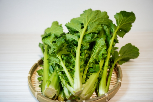 大和まな.jpg (175 KB)