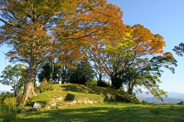 25924451_s.jpg (352 KB)