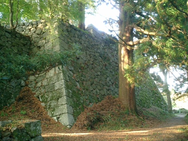 311440_s.jpg (358 KB)