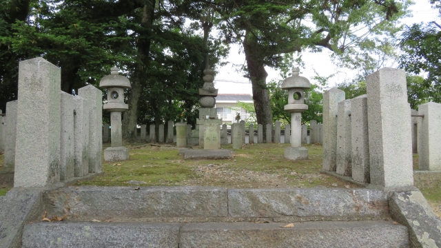 32926944_s.jpg (243 KB)