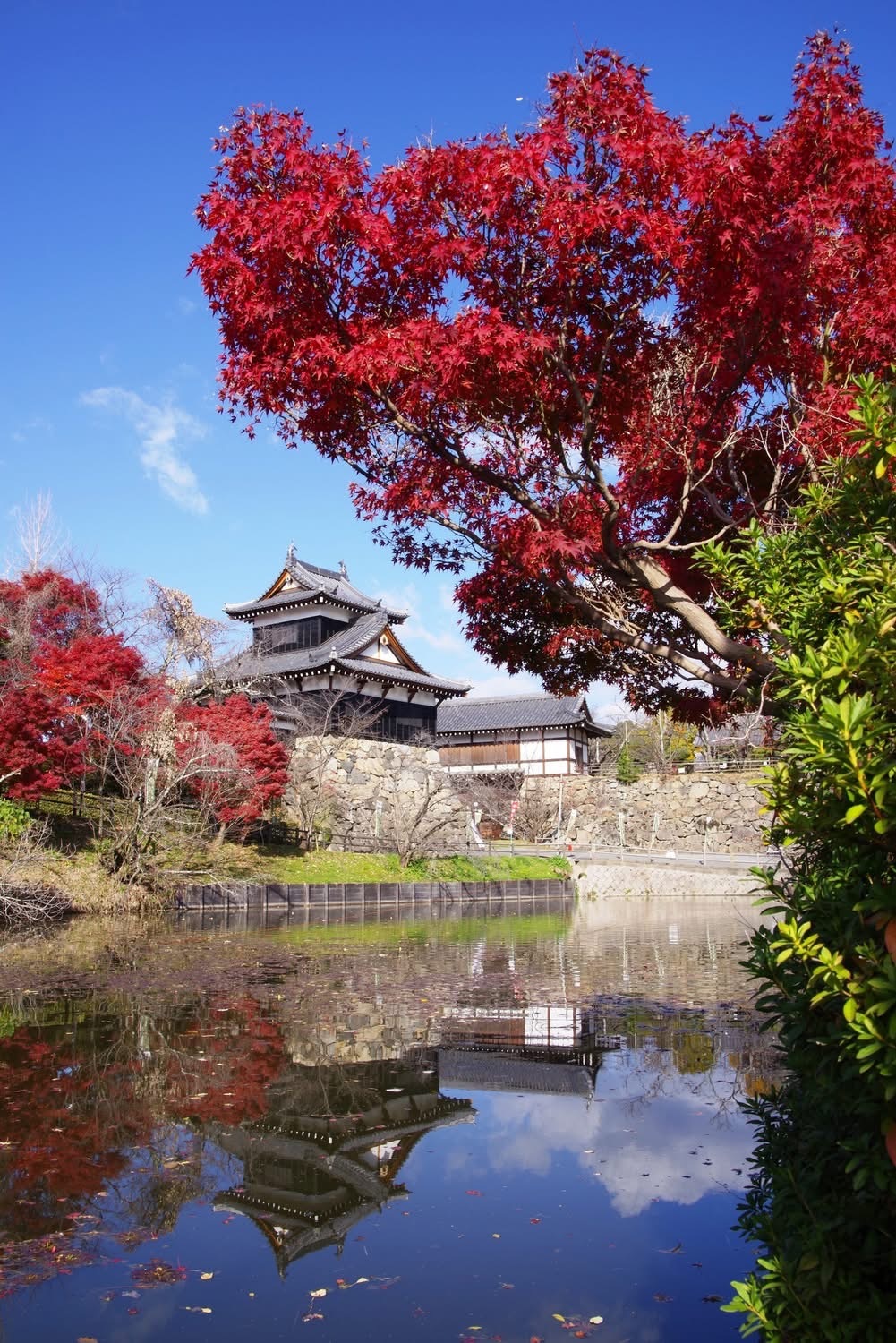 IMG_1625 - .jpeg (424 KB)