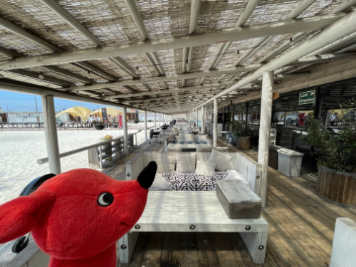 ②THE BEACH 77 の写真 　(チーバくん有).jpg (223 KB)